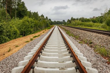 Uzun, düz tren yolları bulutlu bir gökyüzü altında yeşil orman alanlarının arasına kadar uzanıyor ve güçlü bir perspektif ve simetri sunuyor..