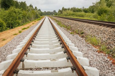 Uzun, düz tren yolları bulutlu bir gökyüzü altında yeşil orman alanlarının arasına kadar uzanıyor ve güçlü bir perspektif ve simetri sunuyor..