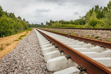 Uzun, düz tren yolları bulutlu bir gökyüzü altında yeşil orman alanlarının arasına kadar uzanıyor ve güçlü bir perspektif ve simetri sunuyor..