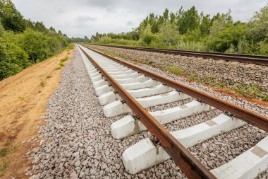 Uzun, düz tren yolları bulutlu bir gökyüzü altında yeşil orman alanlarının arasına kadar uzanıyor ve güçlü bir perspektif ve simetri sunuyor..