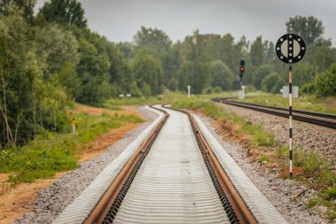 Uzun, düz tren yolları bulutlu bir gökyüzü altında yeşil orman alanlarının arasına kadar uzanıyor ve güçlü bir perspektif ve simetri sunuyor..