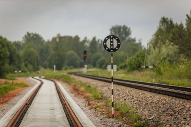 Uzun, düz tren yolları bulutlu bir gökyüzü altında yeşil orman alanlarının arasına kadar uzanıyor ve güçlü bir perspektif ve simetri sunuyor..