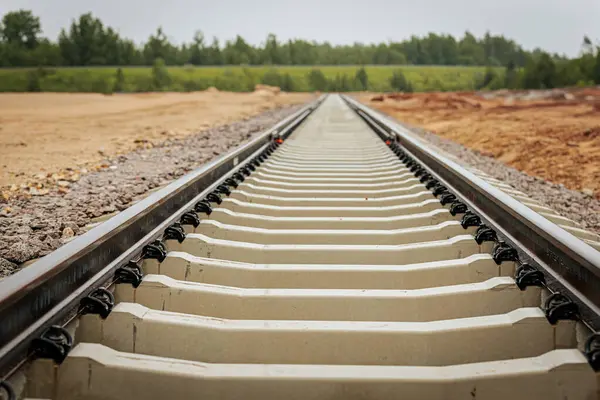 Uzun, düz tren yolları bulutlu bir gökyüzü altında yeşil orman alanlarının arasına kadar uzanıyor ve güçlü bir perspektif ve simetri sunuyor..