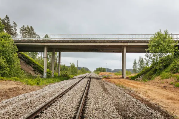 Uzun, düz tren yolları bulutlu bir gökyüzü altında yeşil orman alanlarının arasına kadar uzanıyor ve güçlü bir perspektif ve simetri sunuyor..