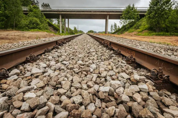 Uzun, düz tren yolları bulutlu bir gökyüzü altında yeşil orman alanlarının arasına kadar uzanıyor ve güçlü bir perspektif ve simetri sunuyor..