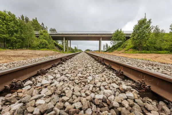 Uzun, düz tren yolları bulutlu bir gökyüzü altında yeşil orman alanlarının arasına kadar uzanıyor ve güçlü bir perspektif ve simetri sunuyor..
