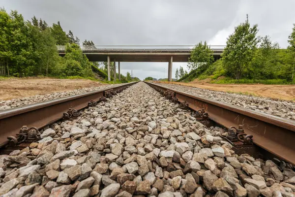 Uzun, düz tren yolları bulutlu bir gökyüzü altında yeşil orman alanlarının arasına kadar uzanıyor ve güçlü bir perspektif ve simetri sunuyor..