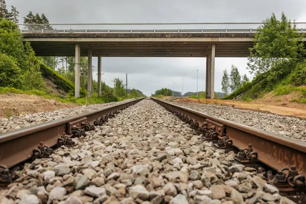 Uzun, düz tren yolları bulutlu bir gökyüzü altında yeşil orman alanlarının arasına kadar uzanıyor ve güçlü bir perspektif ve simetri sunuyor..