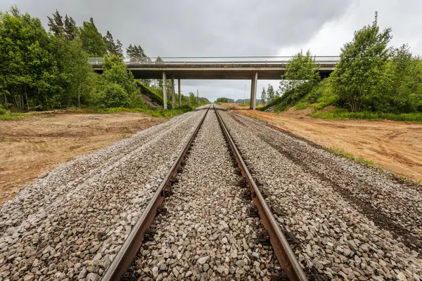 Uzun, düz tren yolları bulutlu bir gökyüzü altında yeşil orman alanlarının arasına kadar uzanıyor ve güçlü bir perspektif ve simetri sunuyor..