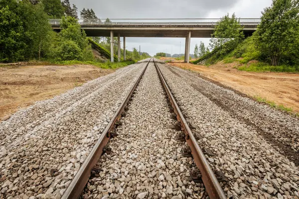 Uzun, düz tren yolları bulutlu bir gökyüzü altında yeşil orman alanlarının arasına kadar uzanıyor ve güçlü bir perspektif ve simetri sunuyor..