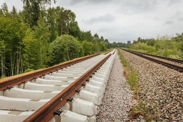 Uzun, düz tren yolları bulutlu bir gökyüzü altında yeşil orman alanlarının arasına kadar uzanıyor ve güçlü bir perspektif ve simetri sunuyor..