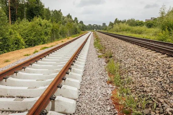 Uzun, düz tren yolları bulutlu bir gökyüzü altında yeşil orman alanlarının arasına kadar uzanıyor ve güçlü bir perspektif ve simetri sunuyor..