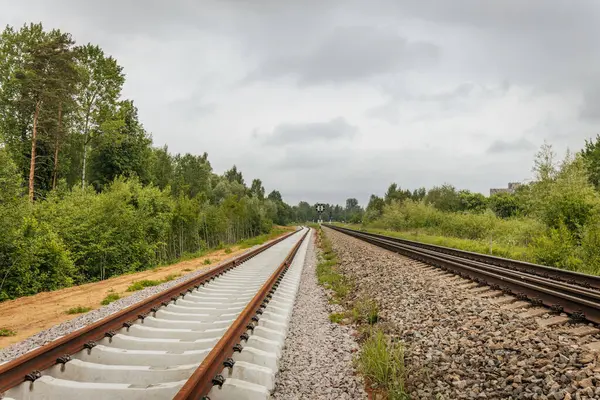 Uzun, düz tren yolları bulutlu bir gökyüzü altında yeşil orman alanlarının arasına kadar uzanıyor ve güçlü bir perspektif ve simetri sunuyor..