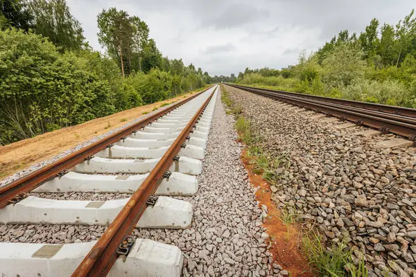 Uzun, düz tren yolları bulutlu bir gökyüzü altında yeşil orman alanlarının arasına kadar uzanıyor ve güçlü bir perspektif ve simetri sunuyor..