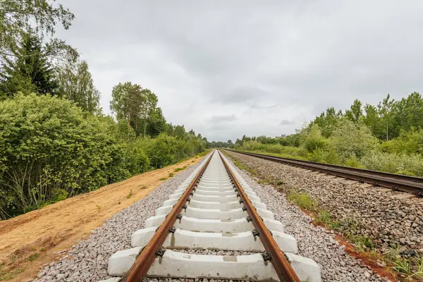 Uzun, düz tren yolları bulutlu bir gökyüzü altında yeşil orman alanlarının arasına kadar uzanıyor ve güçlü bir perspektif ve simetri sunuyor..