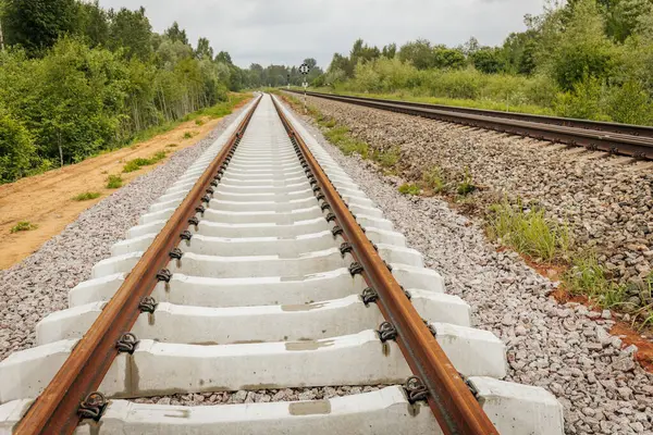 Uzun, düz tren yolları bulutlu bir gökyüzü altında yeşil orman alanlarının arasına kadar uzanıyor ve güçlü bir perspektif ve simetri sunuyor..