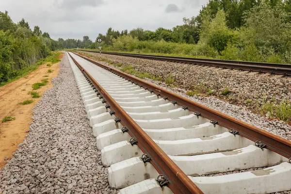Uzun, düz tren yolları bulutlu bir gökyüzü altında yeşil orman alanlarının arasına kadar uzanıyor ve güçlü bir perspektif ve simetri sunuyor..