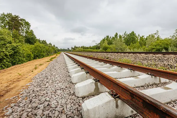 Uzun, düz tren yolları bulutlu bir gökyüzü altında yeşil orman alanlarının arasına kadar uzanıyor ve güçlü bir perspektif ve simetri sunuyor..
