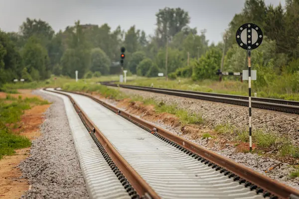 Uzun, düz tren yolları bulutlu bir gökyüzü altında yeşil orman alanlarının arasına kadar uzanıyor ve güçlü bir perspektif ve simetri sunuyor..