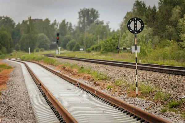 Uzun, düz tren yolları bulutlu bir gökyüzü altında yeşil orman alanlarının arasına kadar uzanıyor ve güçlü bir perspektif ve simetri sunuyor..