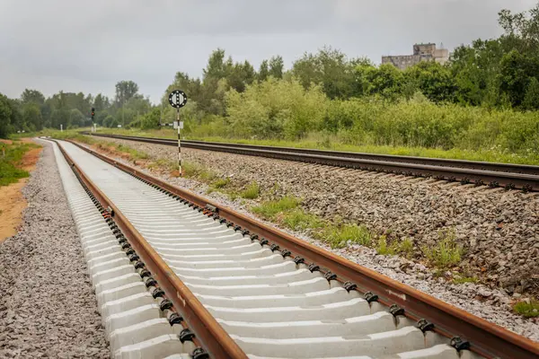 Uzun, düz tren yolları bulutlu bir gökyüzü altında yeşil orman alanlarının arasına kadar uzanıyor ve güçlü bir perspektif ve simetri sunuyor..