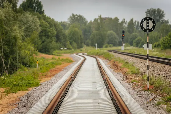 Uzun, düz tren yolları bulutlu bir gökyüzü altında yeşil orman alanlarının arasına kadar uzanıyor ve güçlü bir perspektif ve simetri sunuyor..