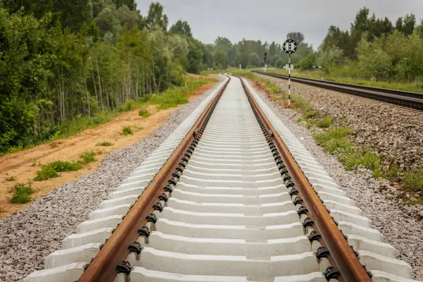 Uzun, düz tren yolları bulutlu bir gökyüzü altında yeşil orman alanlarının arasına kadar uzanıyor ve güçlü bir perspektif ve simetri sunuyor..