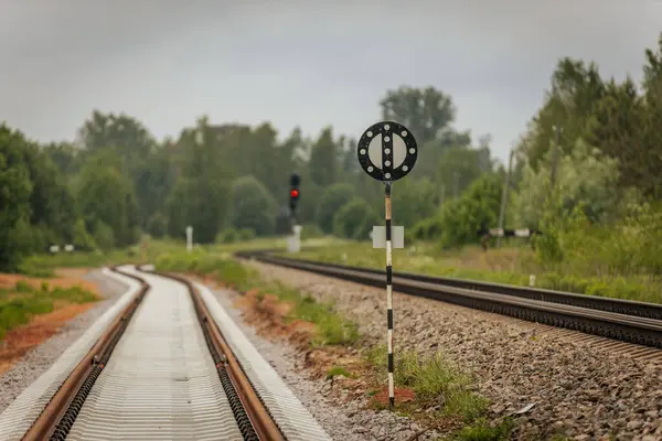 Uzun, düz tren yolları bulutlu bir gökyüzü altında yeşil orman alanlarının arasına kadar uzanıyor ve güçlü bir perspektif ve simetri sunuyor..