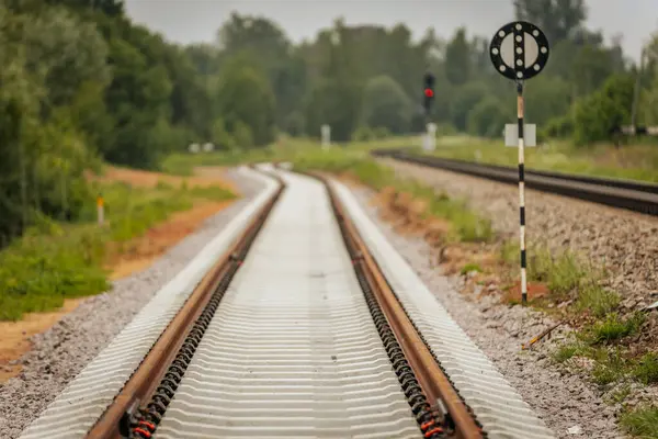Uzun, düz tren yolları bulutlu bir gökyüzü altında yeşil orman alanlarının arasına kadar uzanıyor ve güçlü bir perspektif ve simetri sunuyor..