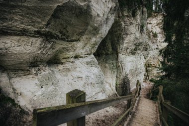 Low-angle view of a vibrant green fern sprouting from a moss-covered rock cliff, surrounded by trees and open sky above. 09.29. 2025 Sietiniezis, Latvia