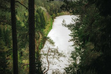 Elevated view from a forest cliff edge with a scenic river winding through dense green woods under an overcast sky.