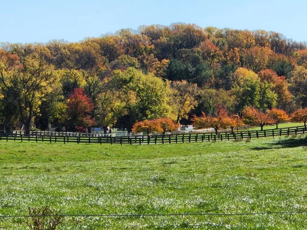 stock image fall foliage on the farm