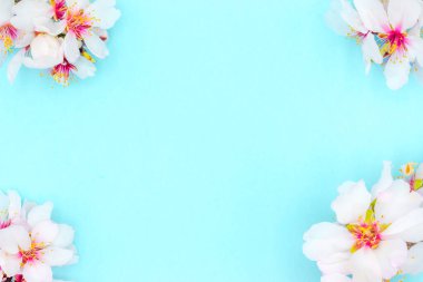 Mavi arka planda çiçek açan badem çiçekleri. Resmin dört karesinde badem çiçekleri, mavi arkaplanda bir çerçeve oluşturur.