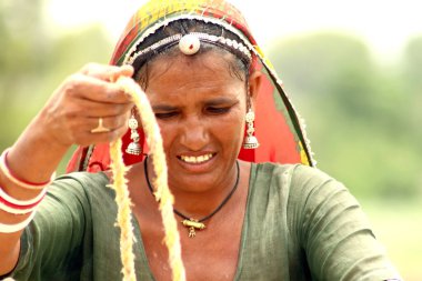 Geleneksel sari giyen hoş bir kadın, Hindistan.