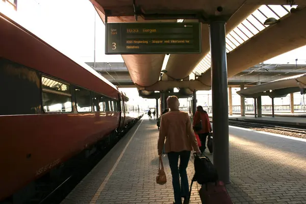 Pessoas Estação Trem Oslo Noruega — Fotografia de Stock