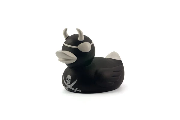 Black Pirate Duck Close — Stock Photo, Image