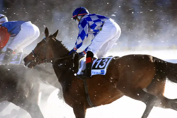 Horse Race Snow — Stock Photo, Image