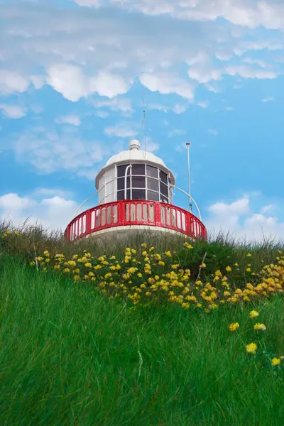 lighthouse and yellow flowers on nature background