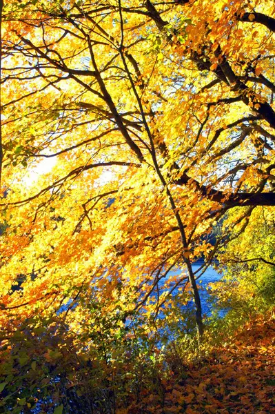 Beautiful landscape in autumn season