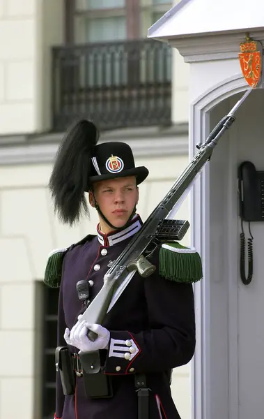 Military Guard Rifle Palace — Fotografia de Stock