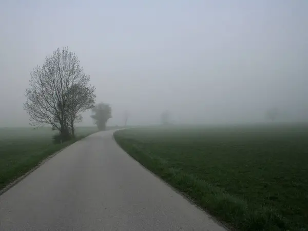 Nebbia Sulla Strada — Foto Stock