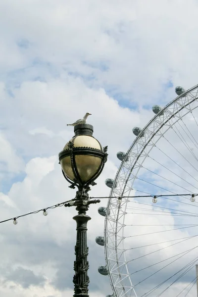 Bird Lantern London — 图库照片