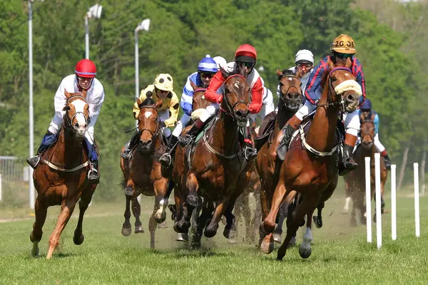 Men Horse Racing Royalty Free Stock Images