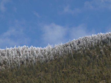 Frosty Mountain Ridge manzarası