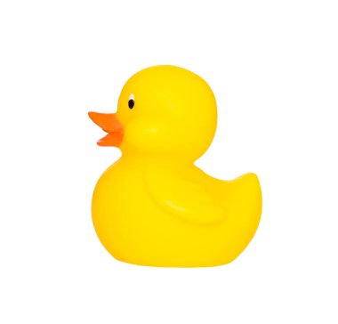 Renkli plastik ördek beyazda izole, çocuk oyuncağı, yakın plan. 