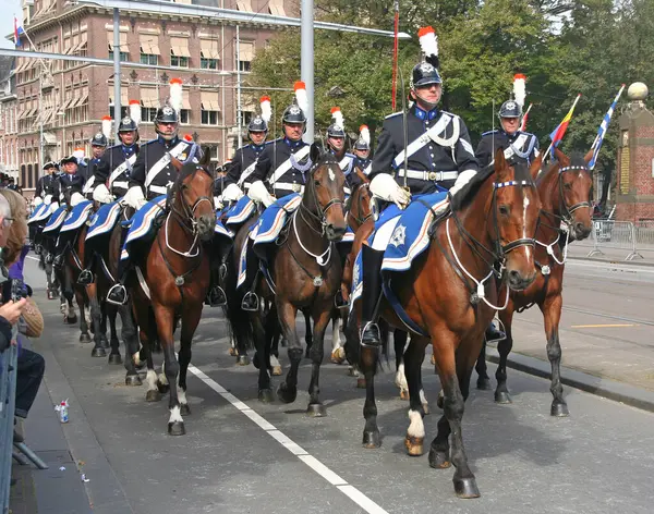 Cerimónia Com Cavalos Haia — Fotografia de Stock