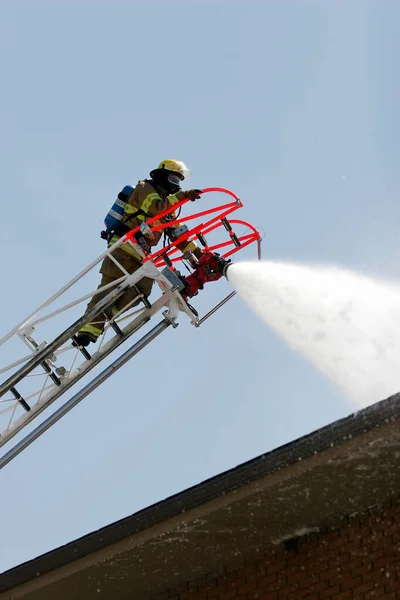 Πυροσβέστες Στην Εργασία Έννοια Πυρόσβεσης — Φωτογραφία Αρχείου