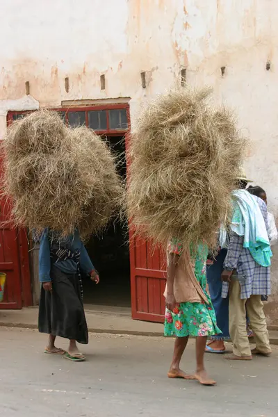 African Women Carrying Hay — Stock Photo, Image