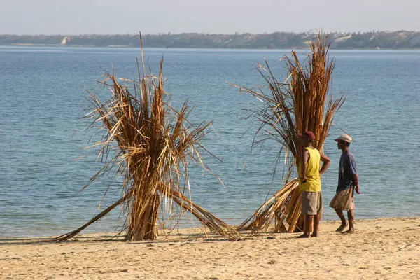 マダガスカルのビーチでストローを乾かす — ストック写真