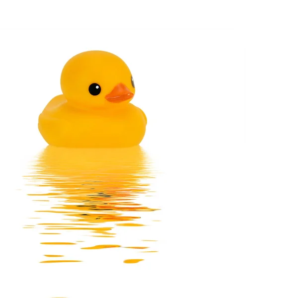 Yellow Duck Water — Stock Photo, Image